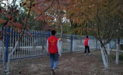 學(xué)生志愿服務(wù)活動進(jìn)行時