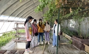 千方百計(jì)拓崗位，攻堅(jiān)克難促就業(yè)